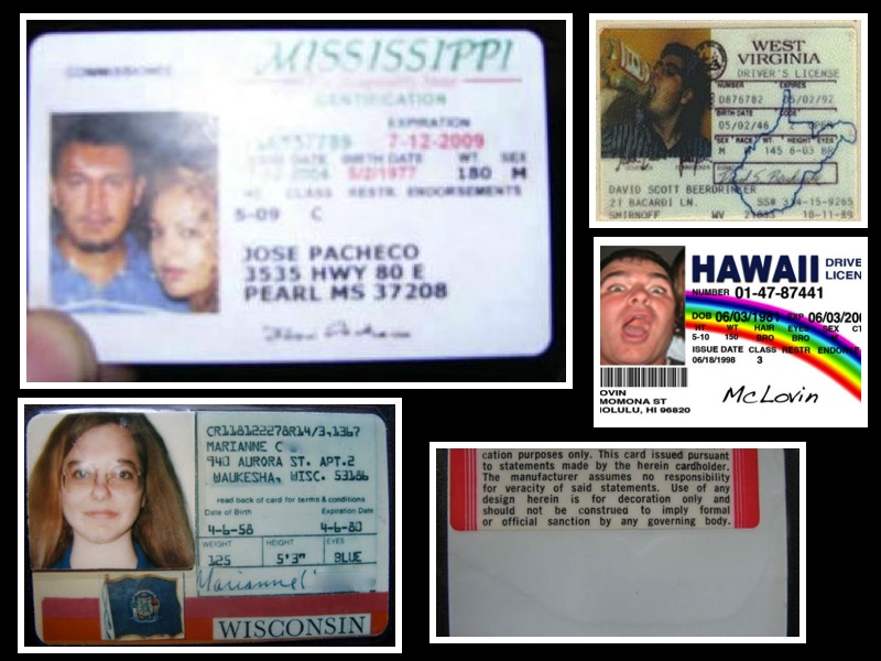 Fake ID Collage